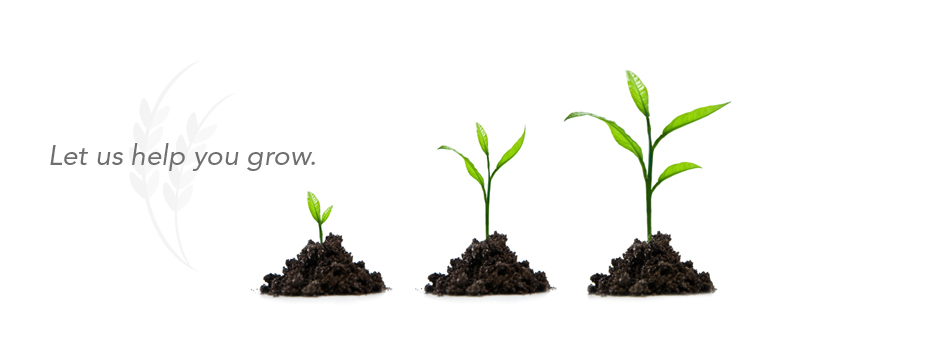 Let Us Help You Grow